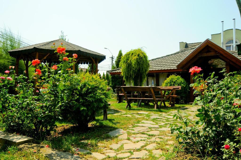 Târgu-Mureş Pension La Cupola מראה חיצוני תמונה