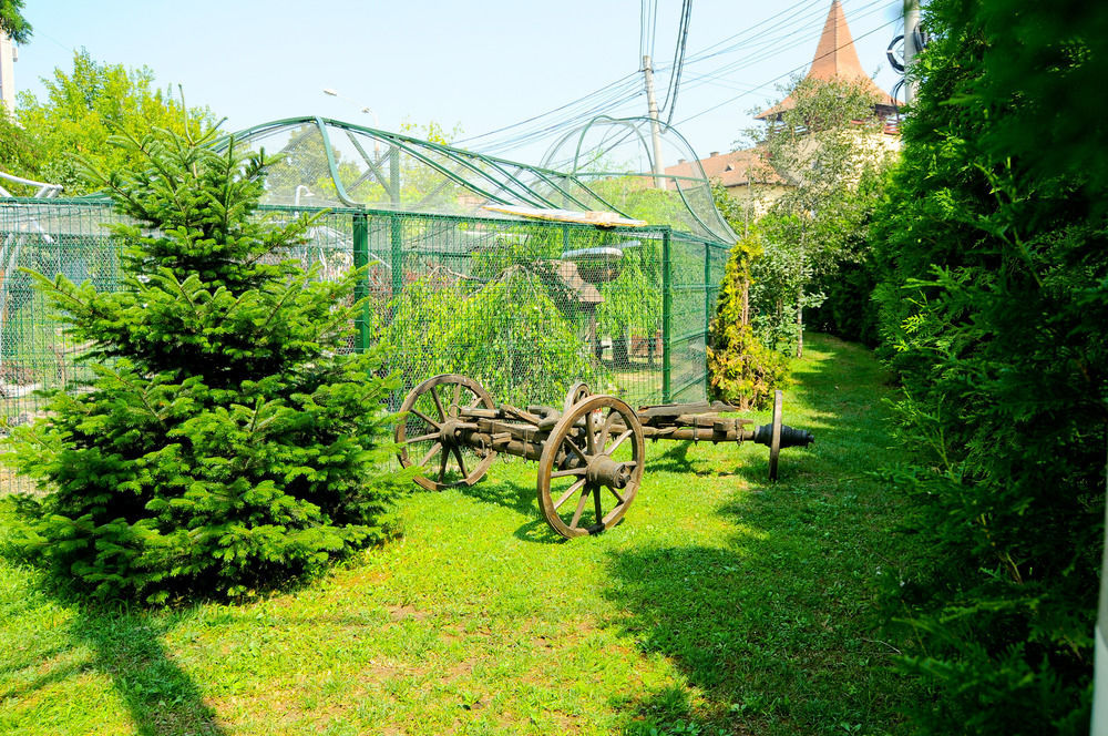 Târgu-Mureş Pension La Cupola מראה חיצוני תמונה