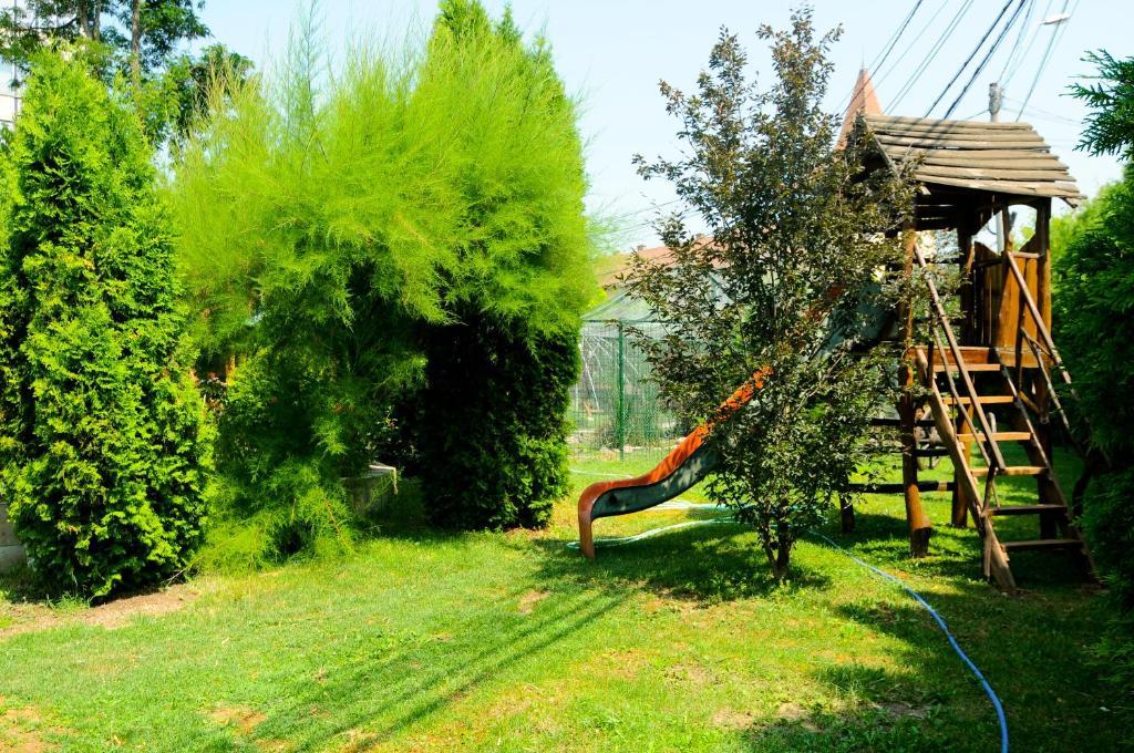 Târgu-Mureş Pension La Cupola מראה חיצוני תמונה